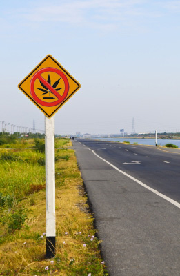 No marijuana for DOT employees